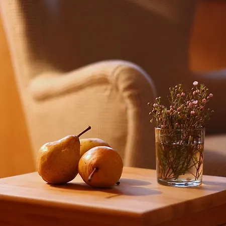 Apartment Naturwirt
